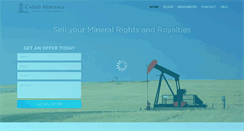Desktop Screenshot of caddominerals.com